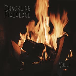 Crackling Fireplace Vol. 1 - Noise Academy