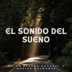 El Sonido del Sueño: Ruido Blanco Natural y Música Calmante - Relajación de ruido blanco natural