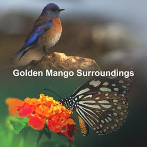 Golden Mango Surroundings - 4D Nature Recordings