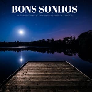 Bons Sonhos: Um Sono Profundo Ao Lado Da Calma Noite Da Floresta - #Calmante