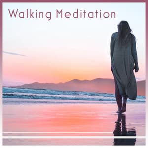 Walking Meditation – Nature Music, Awaken Intuition, Pure Positive Vibes, Mindfulness of Breathing, Focus - Mind State Zen Dimension