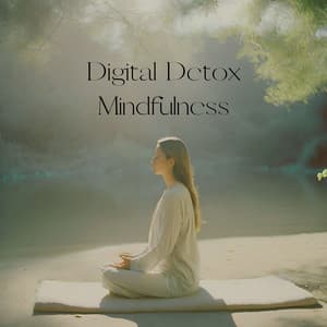 Digital Detox Mindfulness: Mindful Tech Breaks, Ambient Reflections - Mindfulness Meditation Music Spa Maestro