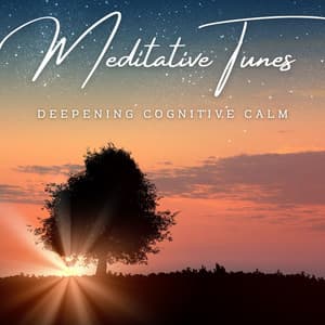 ClarityMind: Meditative Tunes for Focus & Concentration - Noise Radio 1