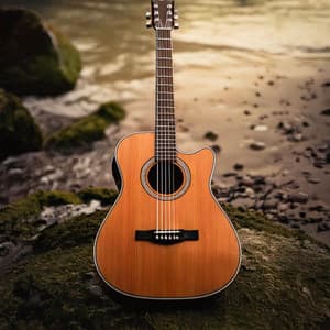 Guitar Music for Meditation: Deep Harmonic Flow - The Guitars Duo