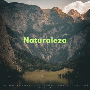 Naturaleza: Calmo Arroyo Que Fluye Por El Bosque Vol. 1 - Sonidos de agua Ruido blanco natural