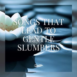 Songs That Lead to Gentle Slumbers - Re-Relaxation