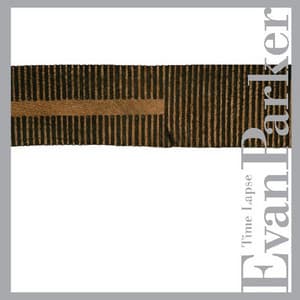 Time Lapse - Evan Parker