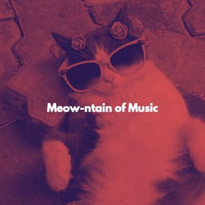 Meow-ntain of Music - Cat Total Relax
