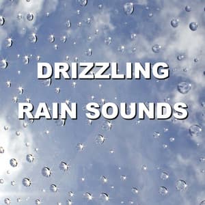Drizzling Rain Sounds - Wind and Rain Sounds
