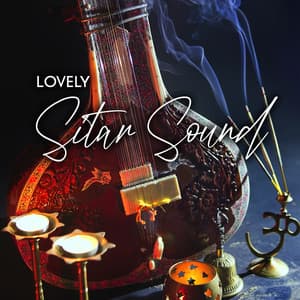 Lovely Sitar Sound - Best Hindi Traditional Music - Hindi Vibe