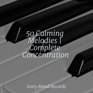 50 Calming Melodies | Complete Concentration - Ivory Mood