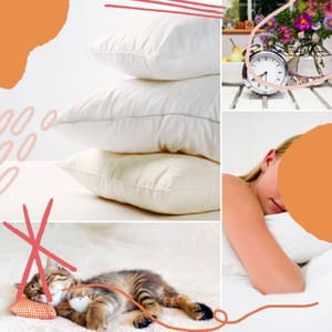 Spirited Ambient Indian Music - Bgm for Mindfulness Rest - Wellness