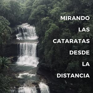 Mirando Las Cataratas Desde La Distancia - Sonidos de Cascada