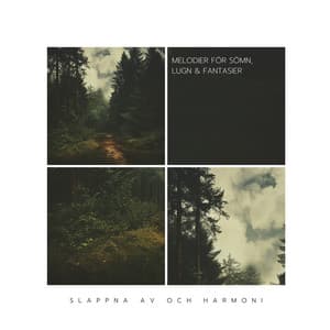 Melodier för Sömn, Lugn, & Fantasier - Slappna av och Harmoni