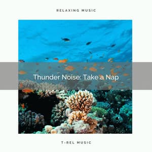 Thunder Noise: Take a Nap - Nature Bird Sounds