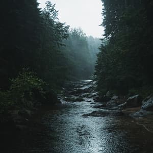 Noise to Calm - Fans & White Noise