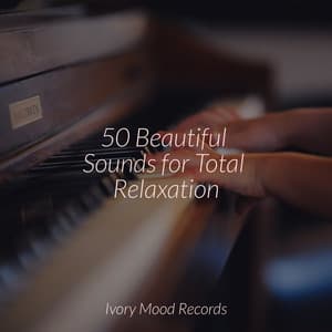50 Beautiful Sounds for Total Relaxation - Ivory Mood