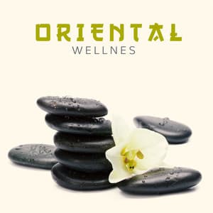 Oriental Wellness: Chansons Asiatiques Pour Le Spa, Le Massage, Le Bain Et Le Ter - Maîtres de Musique Tantriques / Ensemble de Musique Zen Relaxante / Oriental Music Zone