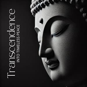 Transcendence Into Timeless Peace - Asalee Shaant