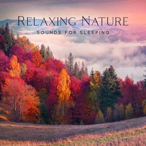 Relaxing Nature Sounds For Sleeping - Deep Healing Music For Meditation, Natural Calm - Total Nature Relaxation