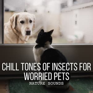 Nature Sounds: Chill Tones of Insects for Worried Pets - Nature & Sounds Background