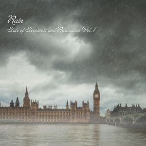 Rain: State of Sleepiness and Relaxation Vol. 1 - Total Relax