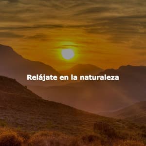 Relájate en la naturaleza - Vintage Jazz