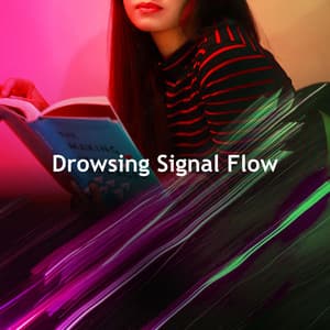 Drowsing Signal Flow - Instrumental Work Focus