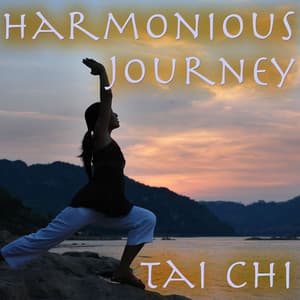Harmonious Journey - Tai Chi
