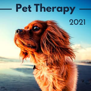 Pet Therapy 2021: Soothing for Dogs, Relaxing ASMR Music to Relax and Calm Your Dog - Gaia Lavina