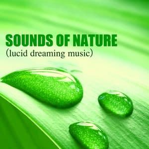 Creative Mind - Sounds of Nature, Liquid Music for Lucid Dreaming & Inducing Sleep - REM Sleep Inducing