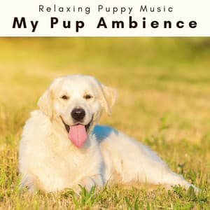 2 0 2 3 My Pup Ambience - Relaxing Puppy Music