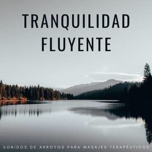 Tranquilidad Fluyente: Sonidos De Arroyos Para Masajes Terapéuticos - Arroyos Ventosos