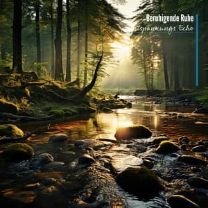 Beruhigende Ruhe: Sanfte Gelassenheitsmusik - Entspannungs Echo