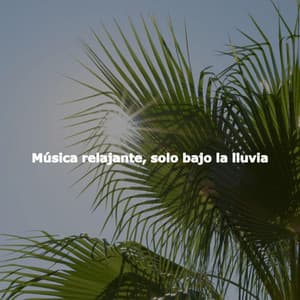 Música relajante, solo bajo la lluvia - Relaxing BGM Project