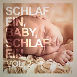 Schlaf ein, Baby, schlaf ein, Vol. 2 - Baby Musik