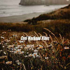 Cool Weekend Vibes - Fine Dining Music Rhythms