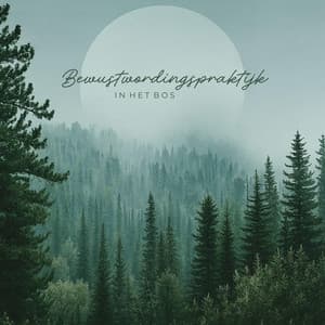 Bewustwordingspraktijk in Het Bos - Genezende Collectie