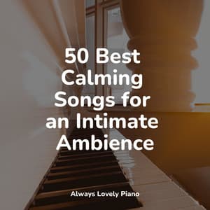 50 Best Calming Songs for an Intimate Ambience - Bar Lounge