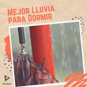 Mejor Lluvia para Dormir - #Calmante