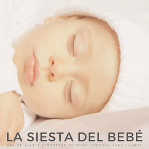 La Siesta Del Bebé: Una Relajante Atmósfera De Selva Tropical Para Tu Bebé - Sonidos de la selva tropical