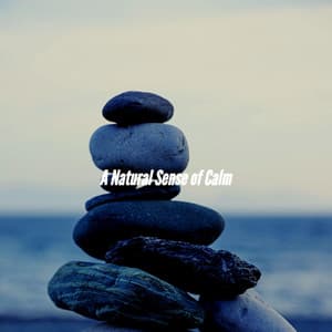 A Natural Sense of Calm - Hotel Lobby Music