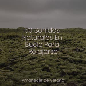 50 Sonidos Naturales En Bucle Para Relajarse - Música Relajante para Bebés