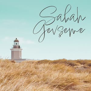 Sabah Gevşeme: Olumlu Duygular ve Enerji, Bir Güne Huzurlu Bir Başlangıç, Sabah Yogası - Rahatla Zamanı Vaha