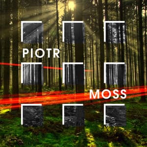 Piotr Moss - Piotr Moss