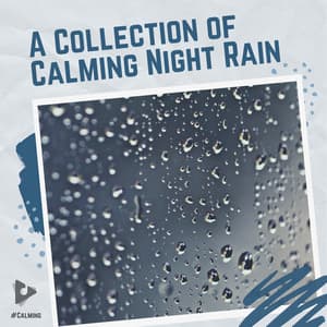 A Collection of Calming Night Rain - #Calming