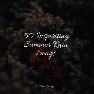 50 Inspiriting Summer Rain Songs - Massage