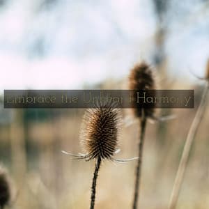 Embrace the Unheard Harmony - Oceara