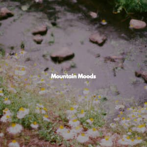 Mountain Moods - Música Ambiental para Cafeterías