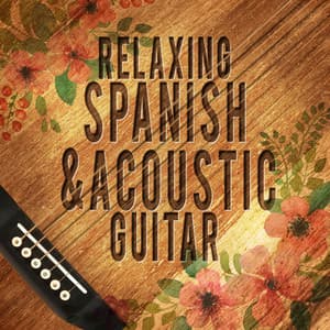 Relaxing Spanish and Acoustic Guitar - Instrumental Guitar Music